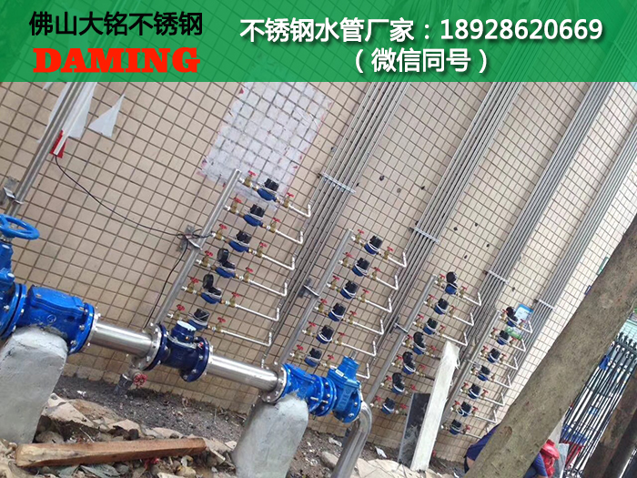 廠家供應不銹鋼分水器